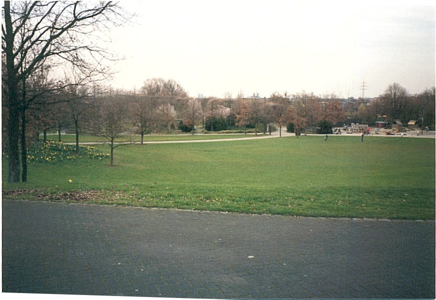 Die MGa-Wiese
